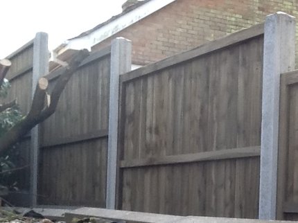  High quality fencing and construction services from Steve Winter Fencing from King's Lynn